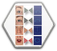 Attention-Driven Cropping for Very High Resolution Facial Landmark Detection