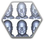 Facial Expression Synthesis using a Global-Local Multilinear Framework