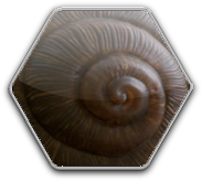 Practical Inverse Rendering